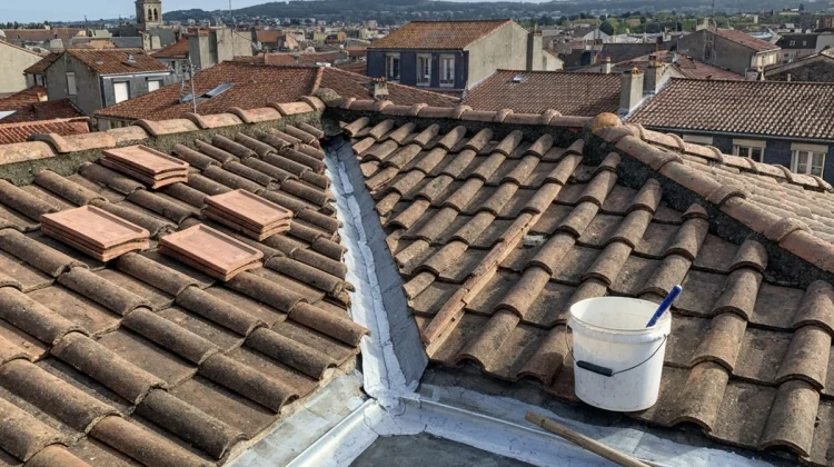 Reparation-Fuite-de-Toiture-–-Bayonne.webp